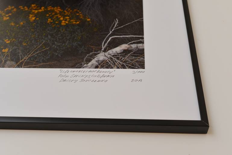 Original Photorealism Landscape Photography by Dmitry Savchenko