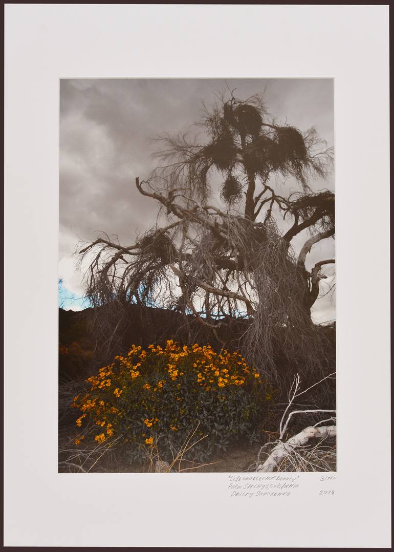 Original Photorealism Landscape Photography by Dmitry Savchenko