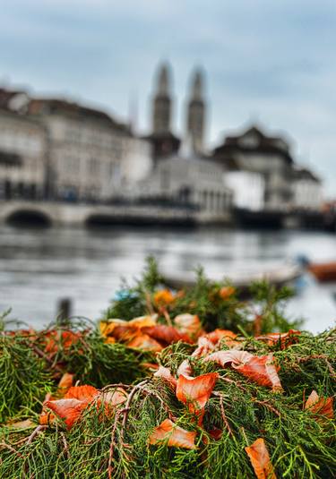 " Autumn in Zürich, Switzerland " thumb