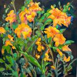 Wild Tigers by Jane Goodman