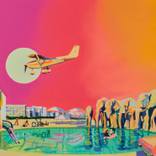 Elephants and Cadillacs by Ruth Mulvie