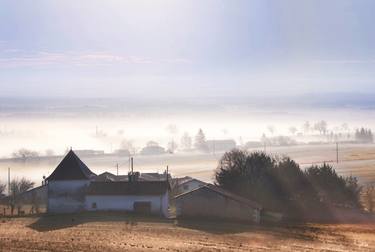 Dawn Light in Le Petit Champ: thumb