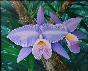 Original Botanic Paintings by Nuno Fernandes