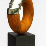 Torus Study # 2 by Paul Stein