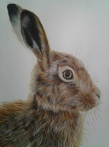 Original Animal Paintings by jodie robins