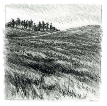 Original Conceptual Landscape Drawings by Marion Webber