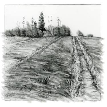 Original Landscape Drawings by Marion Webber