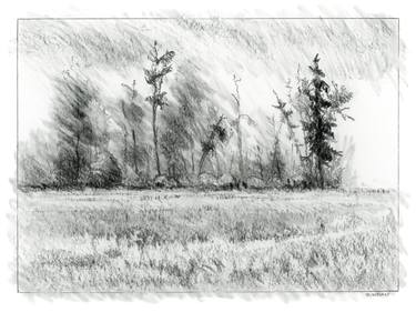 Original Conceptual Landscape Drawings by Marion Webber