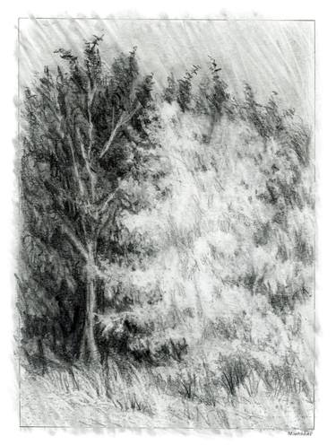 Original Landscape Drawings by Marion Webber