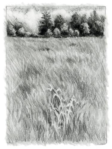 Original Landscape Drawings by Marion Webber