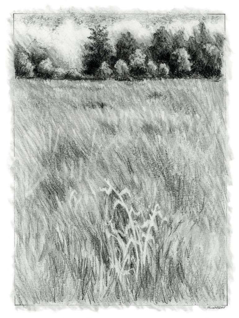 Field Drawing