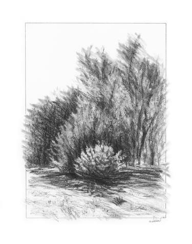 Print of Conceptual Landscape Drawings by Marion Webber