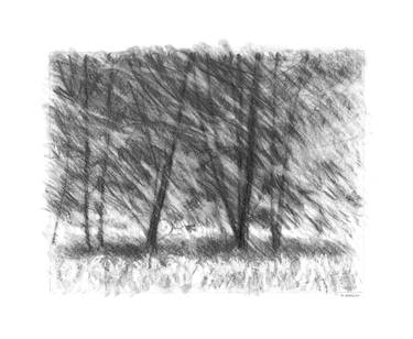 Original Landscape Drawings by Marion Webber