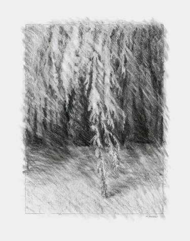 Original Abstract Expressionism Tree Drawings by Marion Webber