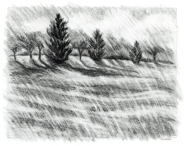 Original Expressionism Landscape Drawings by Marion Webber