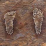Shoe Soles by Ioana Manolache