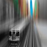 Leaving Oz by Susan McAnany
