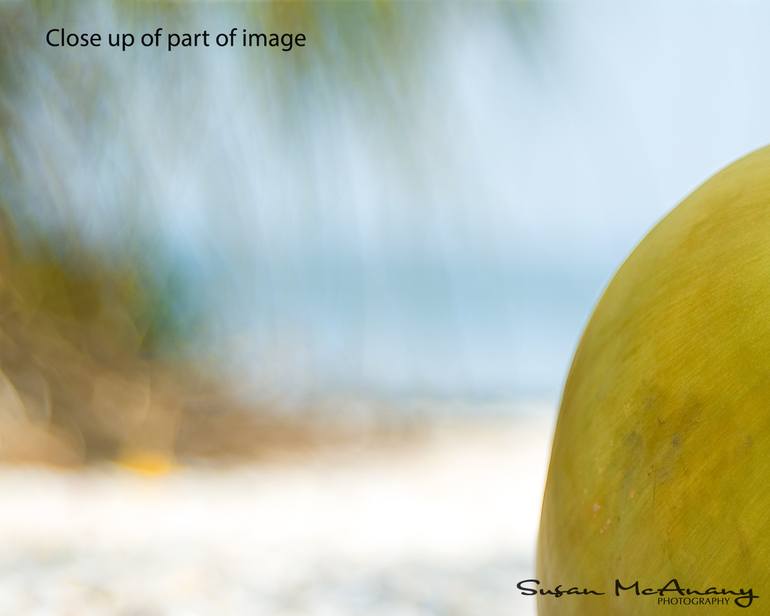 Original Modernism Landscape Photography by Susan Mcanany