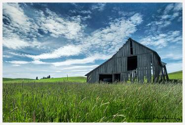 Original Fine Art Landscape Photography by Susan McAnany