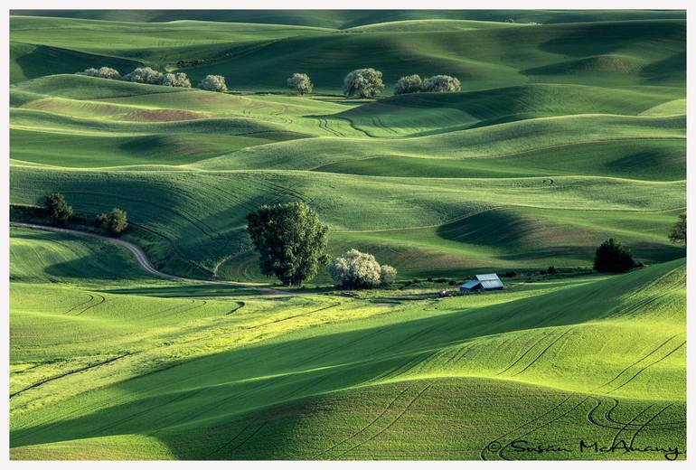 Art Photography Rolling Hills