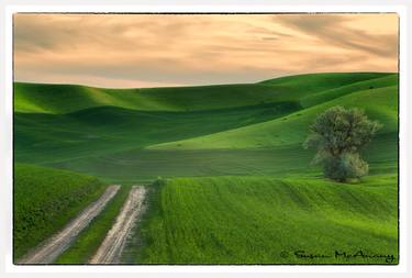 Original Fine Art Landscape Photography by Susan McAnany