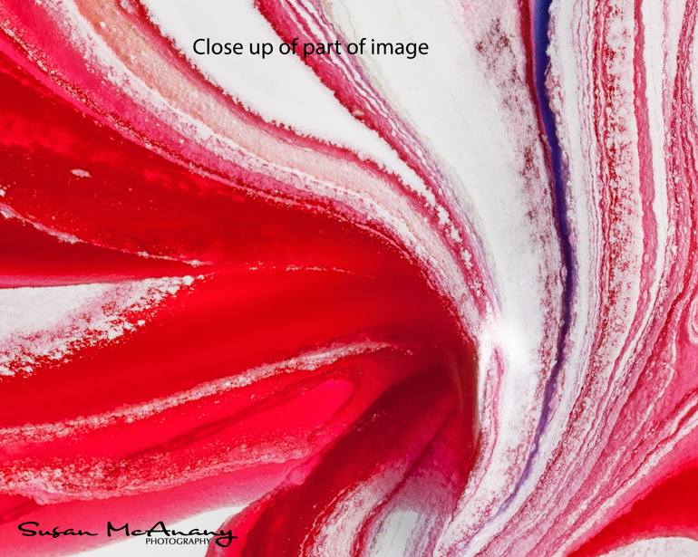 Original Fine Art Abstract Photography by Susan McAnany