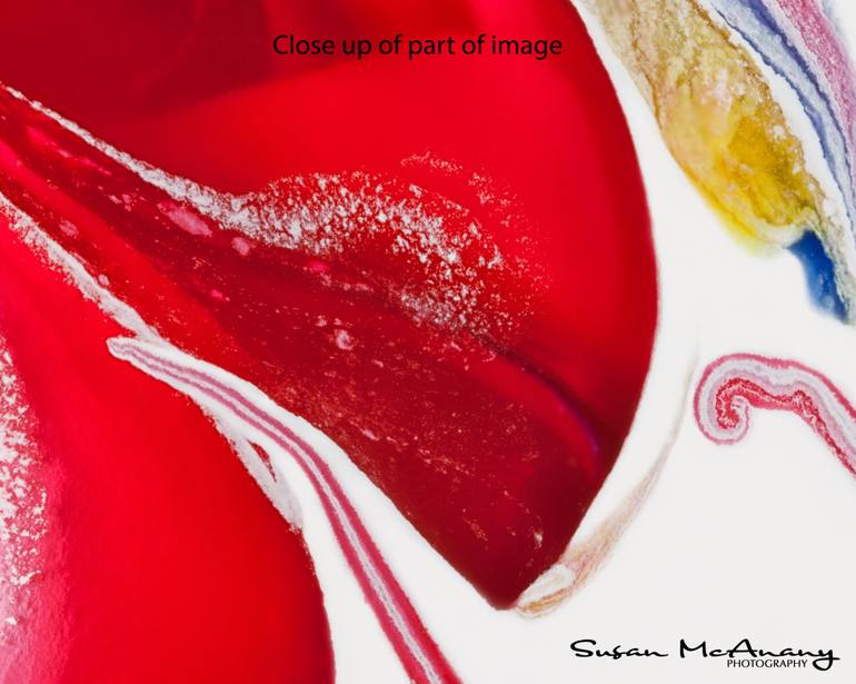 Original Fine Art Abstract Photography by Susan McAnany