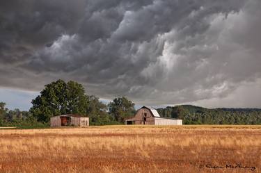 Original Fine Art Landscape Photography by Susan McAnany