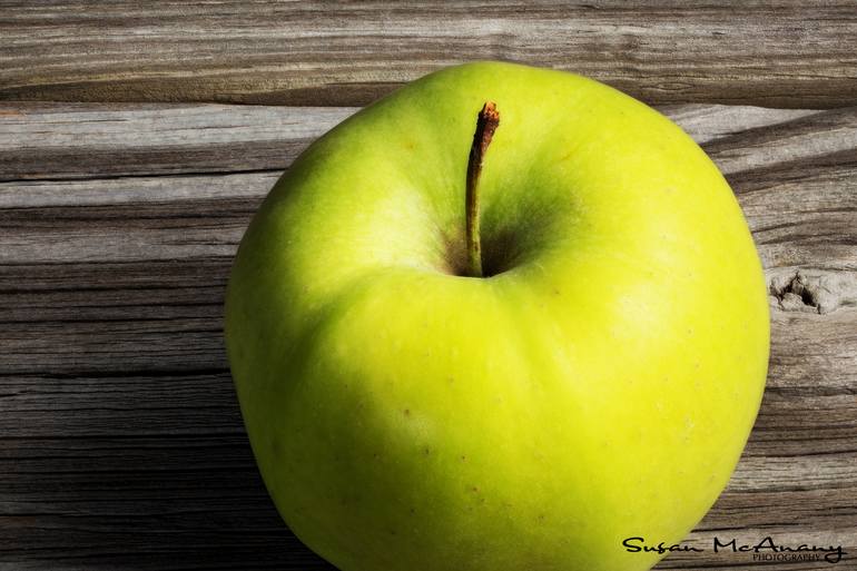 Original Conceptual Still Life Photography by Susan Mcanany