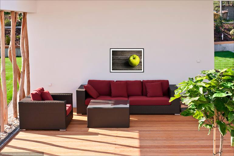 Original Conceptual Still Life Photography by Susan Mcanany