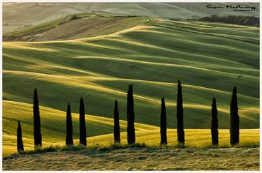 Tuscany Light - Limited Edition 1 of 10 thumb