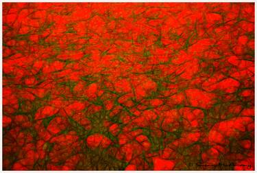 Abstract Poppies Limited Edition Print thumb