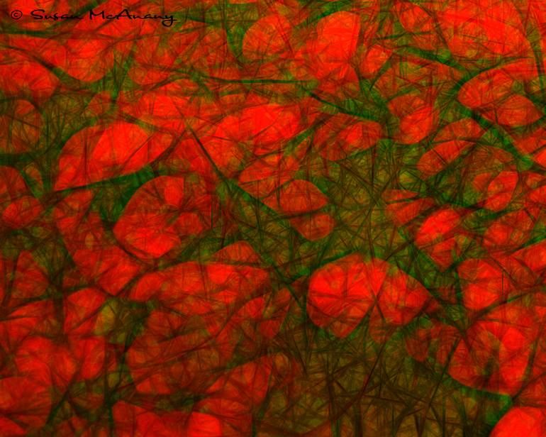 Original Fine Art Abstract Photography by Susan Mcanany
