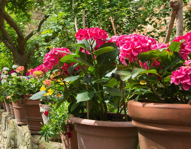 Original Conceptual Architecture Photography by Susan Mcanany