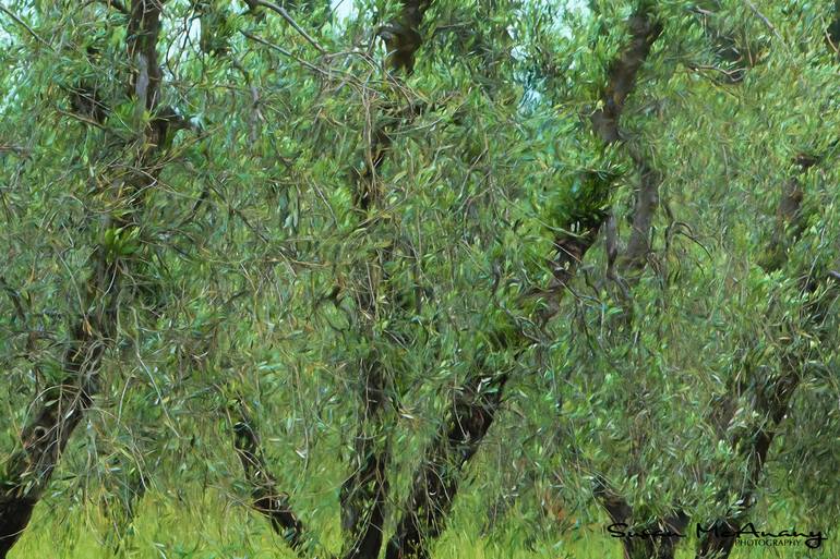 Original Abstract Landscape Photography by Susan Mcanany