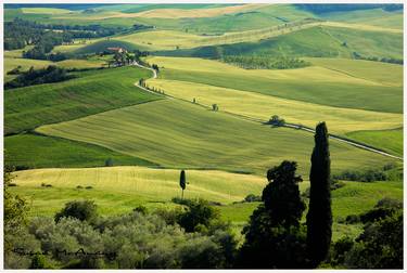 Original Fine Art Landscape Photography by Susan McAnany