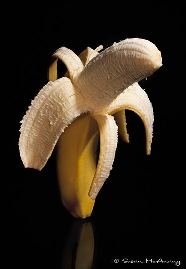 Original Fine Art Still Life Photography by Susan McAnany