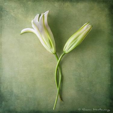 Original Art Deco Floral Photography by Susan McAnany