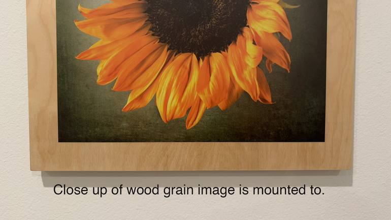 Original Abstract Floral Photography by Susan Mcanany