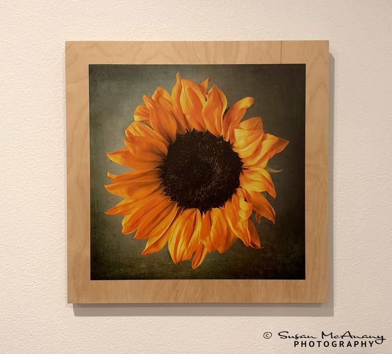 Original Abstract Floral Photography by Susan Mcanany