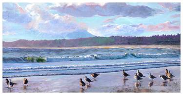 Napoleon Gulls ,Wickaninnish Beach, Pacific Rim thumb