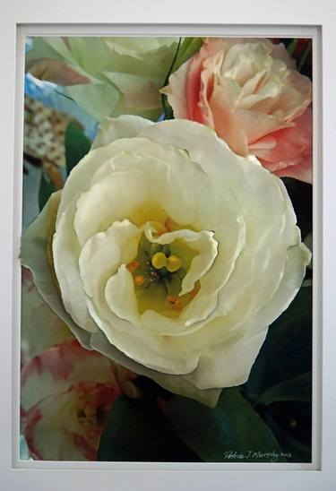 Print of Impressionism Floral Photography by Patrick J Murphy
