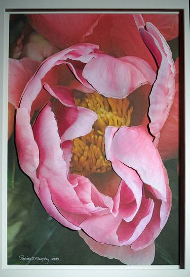 Print of Abstract Expressionism Floral Photography by Patrick J Murphy