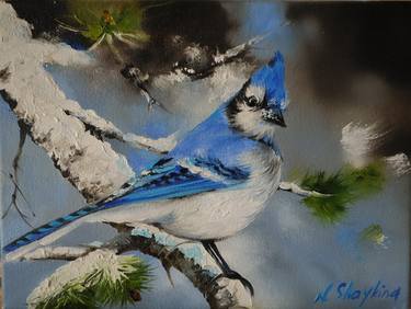 Blue Jay Bird Original painting on Canvas thumb