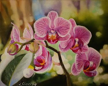 Original Realism Botanic Paintings by Natalia Shaykina