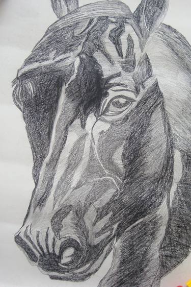 Original Fine Art Horse Drawings by Rachna Goenka