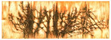 Original Expressionism Nature Drawings by Wim van Loon