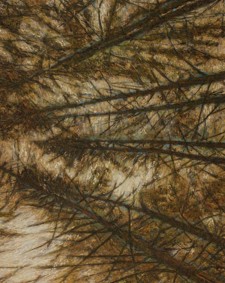 Original Figurative Nature Drawing by Wim Van Loon
