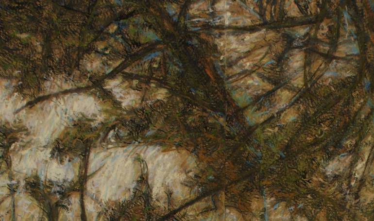Original Figurative Nature Drawing by Wim Van Loon