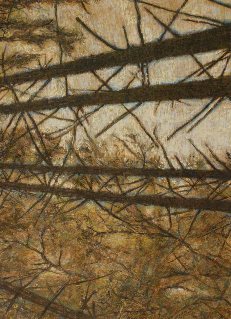 Original Figurative Nature Drawing by Wim Van Loon